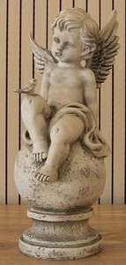 NF20-006 ANGEL