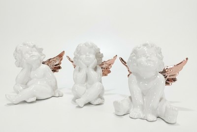 537785 ANGEL             8015361229238