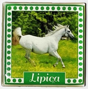 MAGNET EPOKSI 2 MINI LIPICA