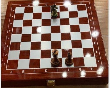 3686 ŠAH LES + KOVINSKE FIGURE
