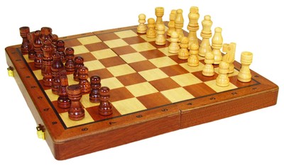 3690 ŠAH LES + DAMA