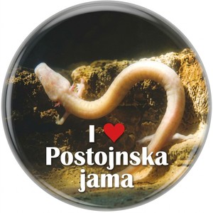 MAGNET EPOKSI PO