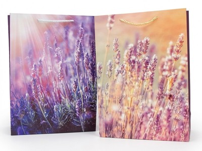 004734 PAPIRNATA VREČKA - MF25-497