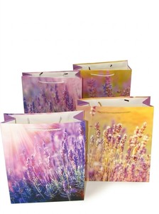 004735 PAPIRNATA VREČKA - MF25-498