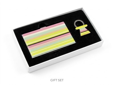 VIZITKA-ETUI Q025        3831087829201