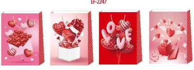 DAR. VREČKA 2            3831087838517