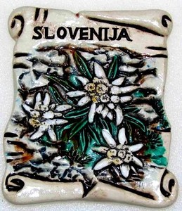 MAGNET SLOVENIJA         3831087834229