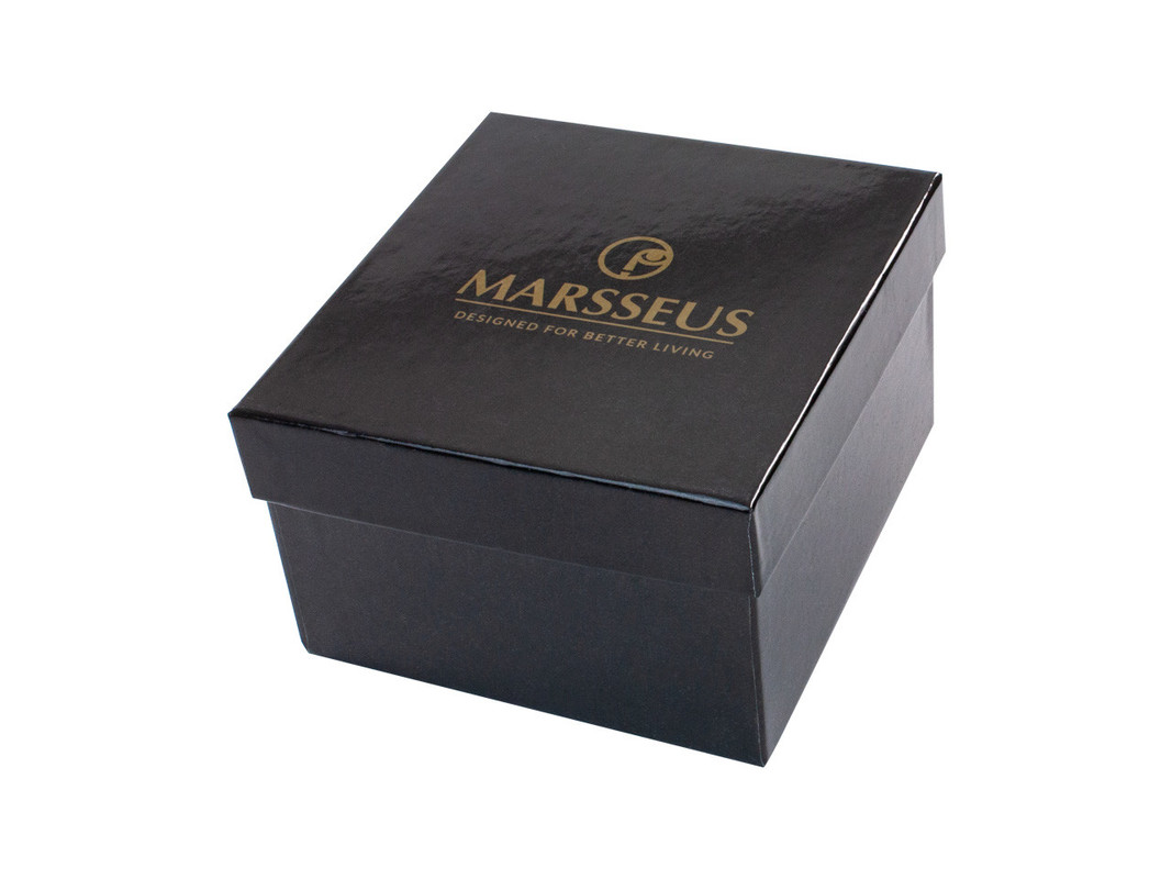 marsseus-vincent-van-gogh/002839-04